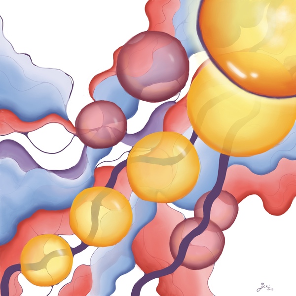 Jellyfish Sunset Print