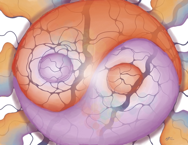 Into the Yin of Things Print