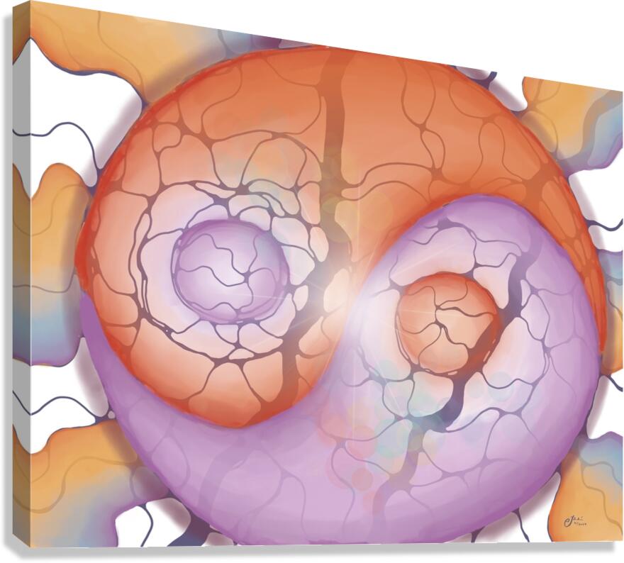 Into the Yin of Things Canvas Print