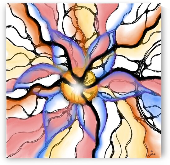 Meadow Star by Julia Duran