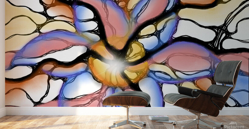 Meadow Star Wall Murals