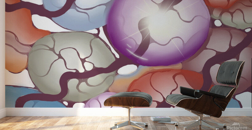 Wonder Wall Murals